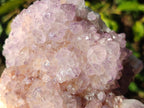 Natural Spirit Amethyst Clusters x 3 From Boekenhouthoek, South Africa - Toprock Gemstones and Minerals 
