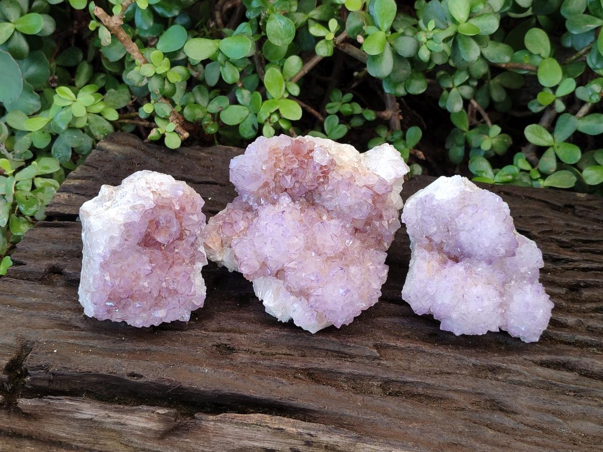 Natural Spirit Amethyst Clusters x 3 From Boekenhouthoek, South Africa - Toprock Gemstones and Minerals 