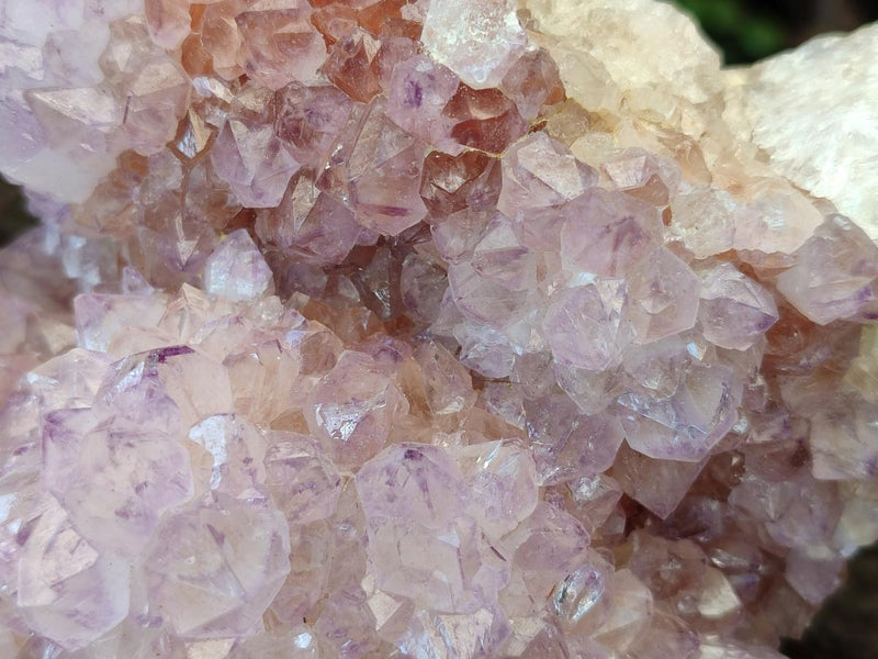 Natural Spirit Amethyst Clusters x 3 From Boekenhouthoek, South Africa - Toprock Gemstones and Minerals 