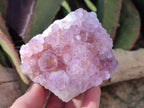Natural Spirit Amethyst Clusters x 3 From Boekenhouthoek, South Africa - Toprock Gemstones and Minerals 