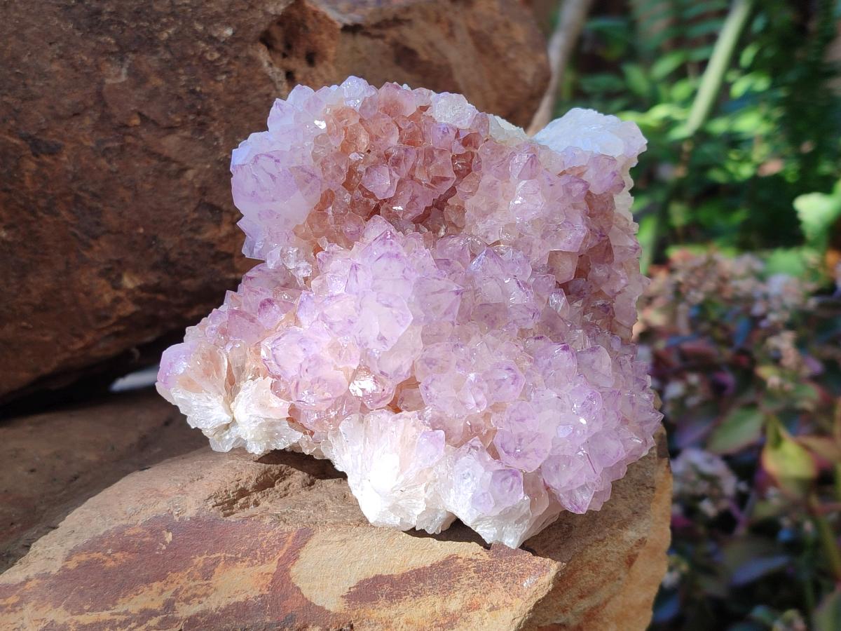 Natural Spirit Amethyst Clusters x 3 From Boekenhouthoek, South Africa - Toprock Gemstones and Minerals 