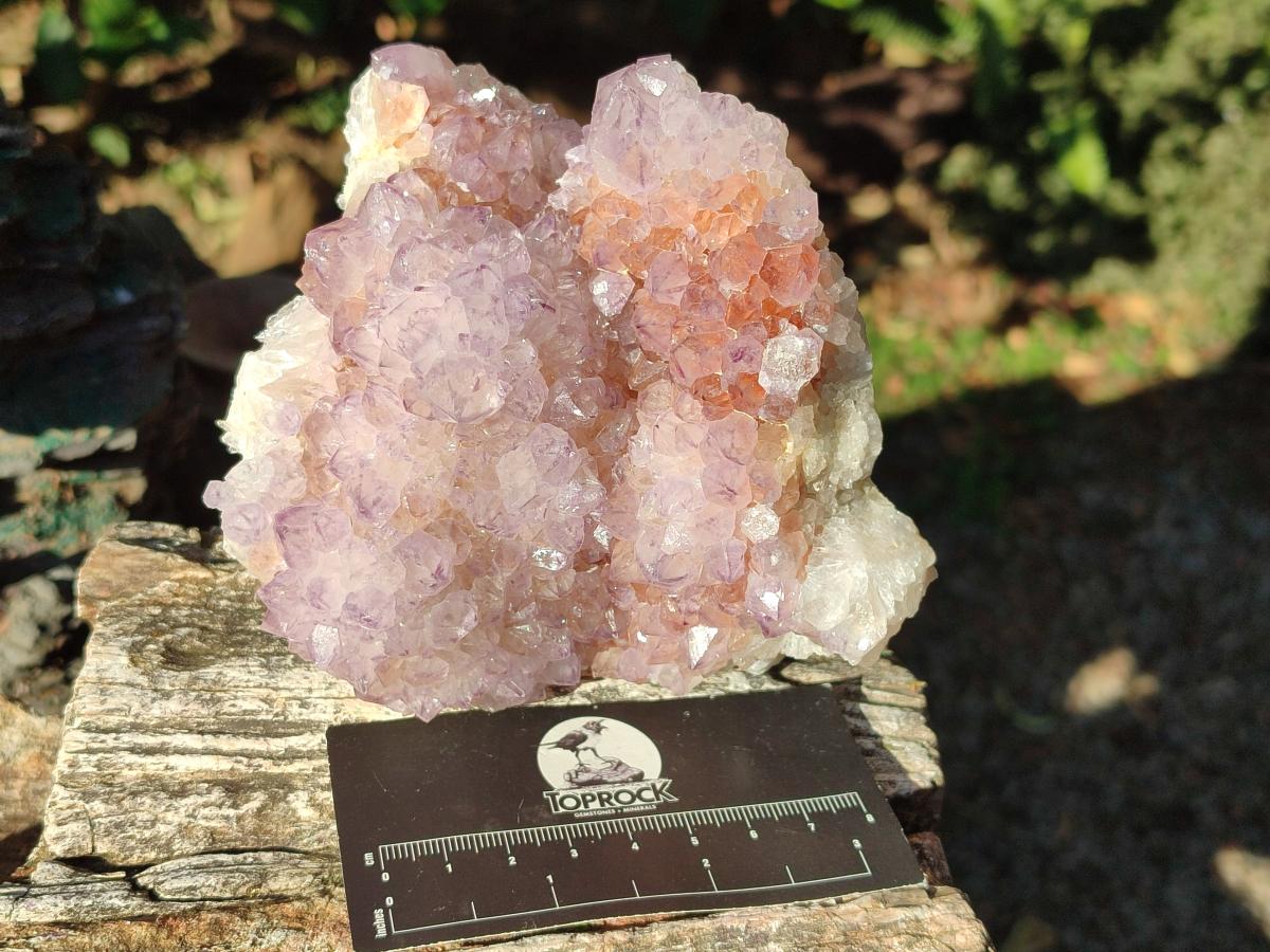 Natural Spirit Amethyst Clusters x 3 From Boekenhouthoek, South Africa - Toprock Gemstones and Minerals 