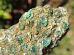 Natural Emerald Mica 'Mutokolite' Cobbed Specimens x 6 From Mutoko, Zimbabwe - Toprock Gemstones and Minerals 
