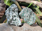 Natural Emerald Mica 'Mutokolite' Cobbed Specimens x 6 From Mutoko, Zimbabwe - Toprock Gemstones and Minerals 