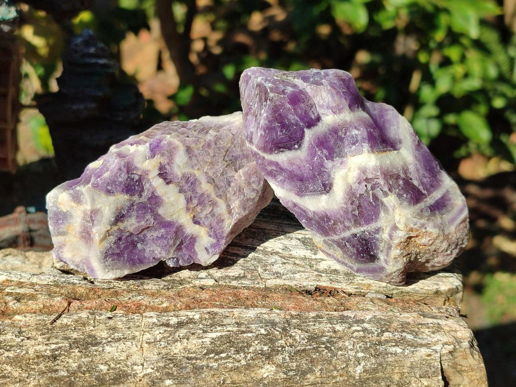 Natural Chevron Amethyst Witches Hat Crystals x 24 From Zambia - Toprock Gemstones and Minerals 