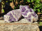 Natural Chevron Amethyst Witches Hat Crystals x 24 From Zambia - Toprock Gemstones and Minerals 