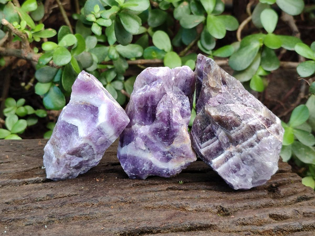 Natural Chevron Amethyst Witches Hat Crystals x 24 From Zambia - Toprock Gemstones and Minerals 