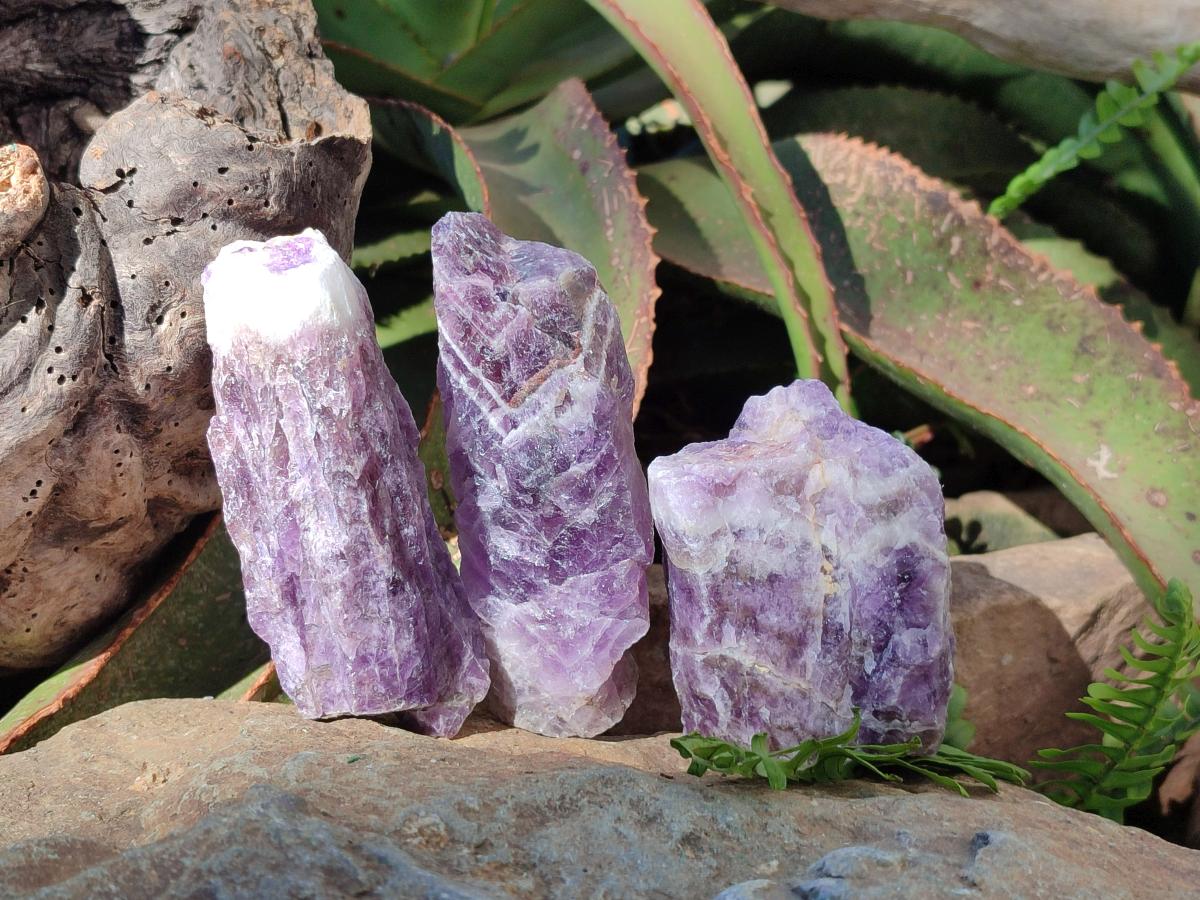 Natural Chevron Amethyst Witches Hat Crystals x 24 From Zambia - Toprock Gemstones and Minerals 