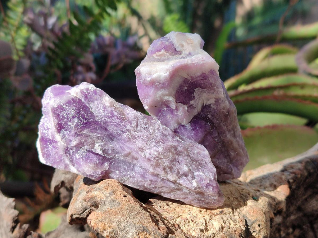 Natural Chevron Amethyst Witches Hat Crystals x 24 From Zambia - Toprock Gemstones and Minerals 