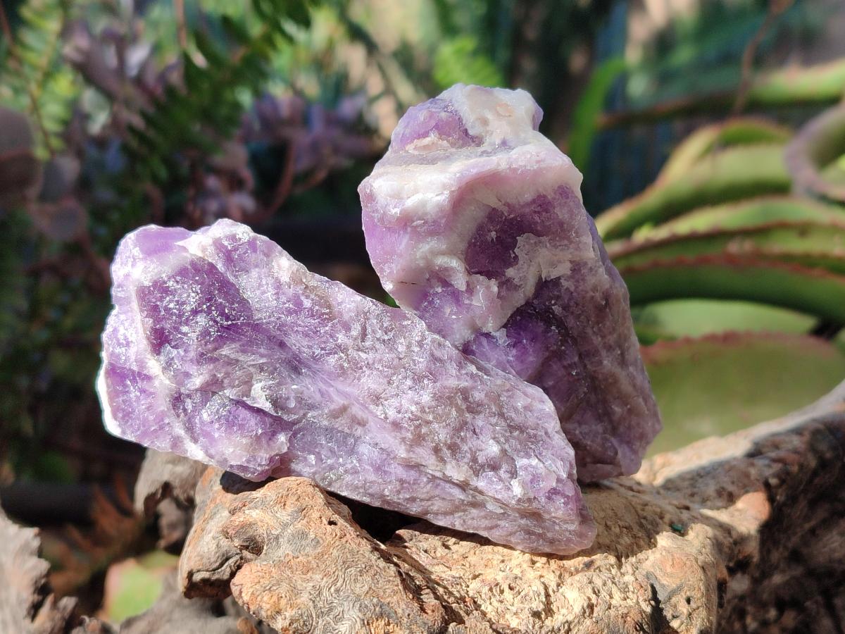Natural Chevron Amethyst Witches Hat Crystals x 24 From Zambia - Toprock Gemstones and Minerals 