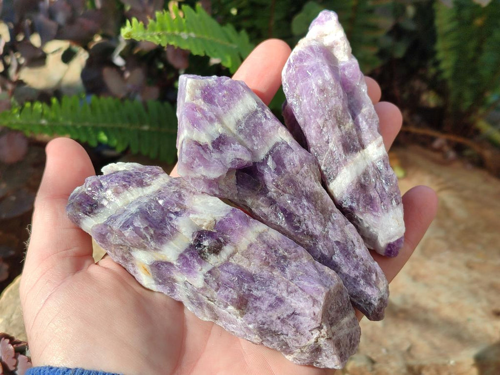 Natural Chevron Amethyst Witches Hat Crystals x 24 From Zambia - Toprock Gemstones and Minerals 