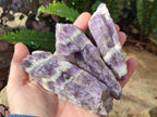Natural Chevron Amethyst Witches Hat Crystals x 24 From Zambia - Toprock Gemstones and Minerals 