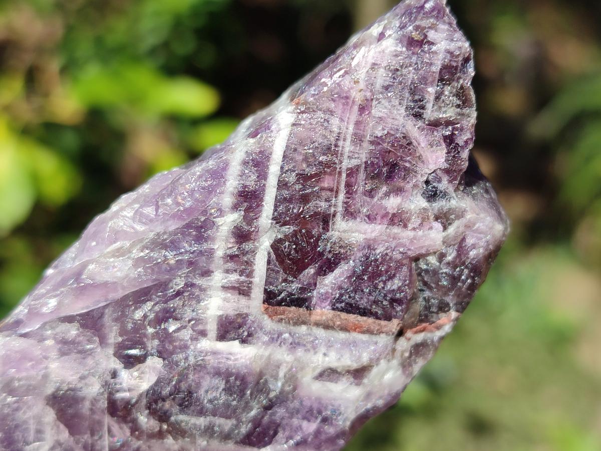 Natural Chevron Amethyst Witches Hat Crystals x 24 From Zambia - Toprock Gemstones and Minerals 