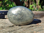 Polished Basalt Pharaoh Stone Free Forms x 12 From Iron Duke Mine, Zimbabwe - Toprock Gemstones and Minerals 