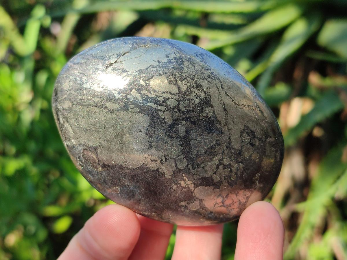 Polished Basalt Pharaoh Stone Free Forms x 12 From Iron Duke Mine, Zimbabwe - Toprock Gemstones and Minerals 