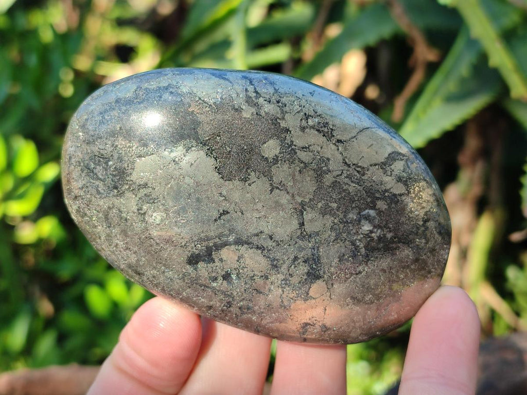 Polished Basalt Pharaoh Stone Free Forms x 12 From Iron Duke Mine, Zimbabwe - Toprock Gemstones and Minerals 