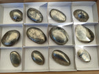 Polished Basalt Pharaoh Stone Free Forms x 12 From Iron Duke Mine, Zimbabwe - Toprock Gemstones and Minerals 