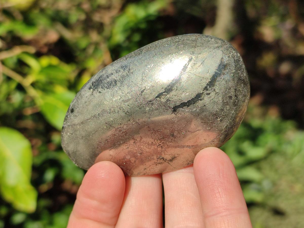 Polished Basalt Pharaoh Stone Free Forms x 12 From Iron Duke Mine, Zimbabwe - Toprock Gemstones and Minerals 