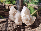 Natural Cascading "Anananas" Pineapple Quartz Crystals x 35 From Antsirabe, Madagascar - Toprock Gemstones and Minerals 