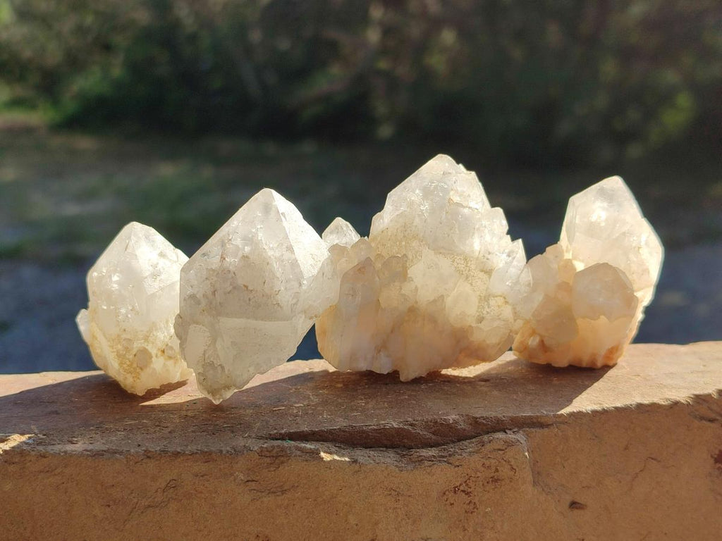 Natural Cascading "Anananas" Pineapple Quartz Crystals x 35 From Antsirabe, Madagascar - Toprock Gemstones and Minerals 