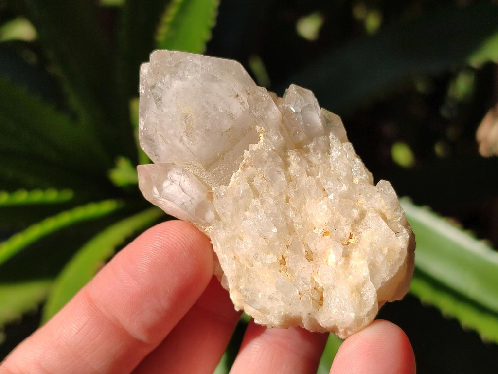 Natural Cascading "Anananas" Pineapple Quartz Crystals x 35 From Antsirabe, Madagascar - Toprock Gemstones and Minerals 