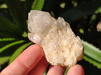 Natural Cascading "Anananas" Pineapple Quartz Crystals x 35 From Antsirabe, Madagascar - Toprock Gemstones and Minerals 