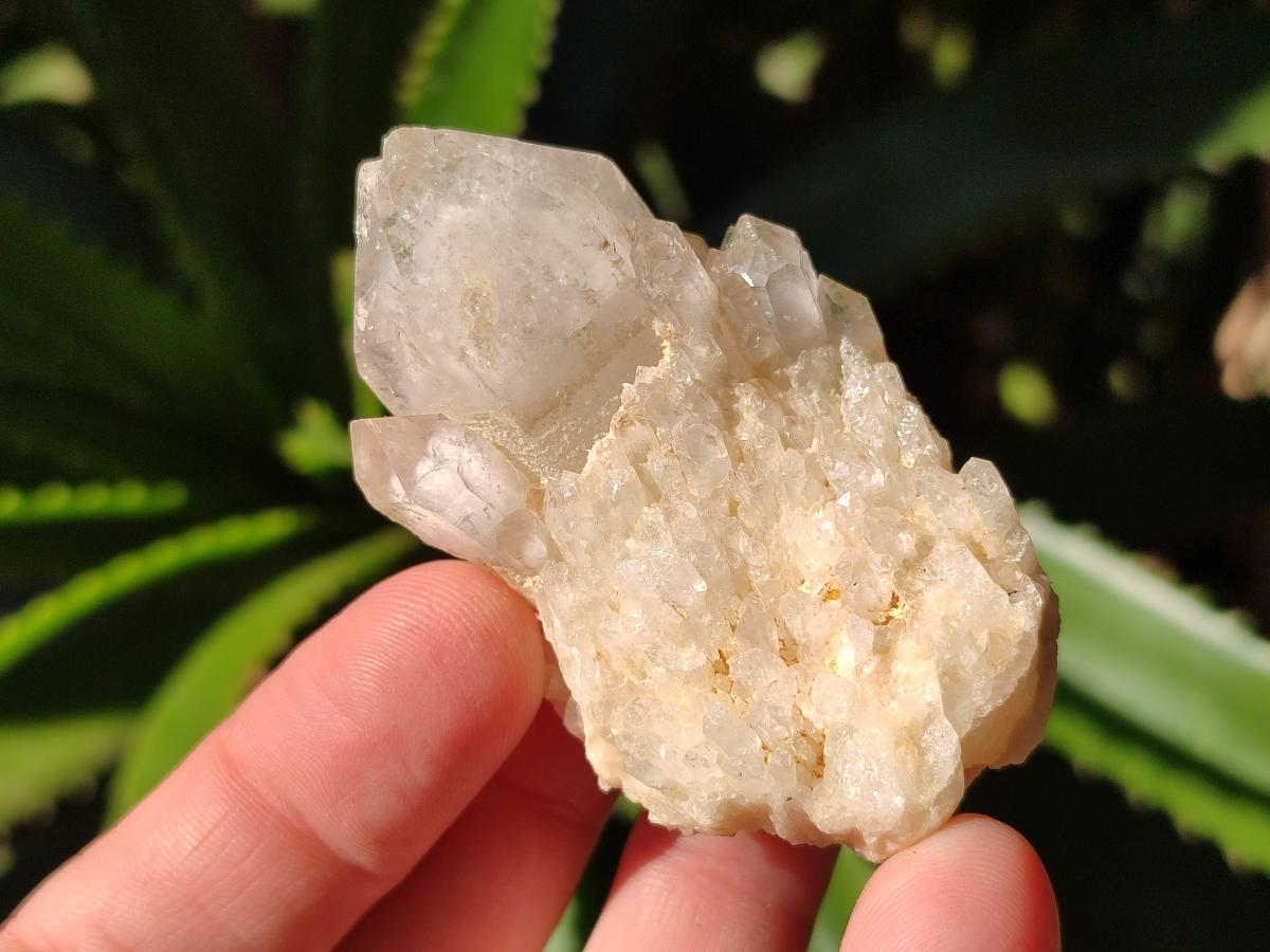 Natural Cascading "Anananas" Pineapple Quartz Crystals x 35 From Antsirabe, Madagascar - Toprock Gemstones and Minerals 