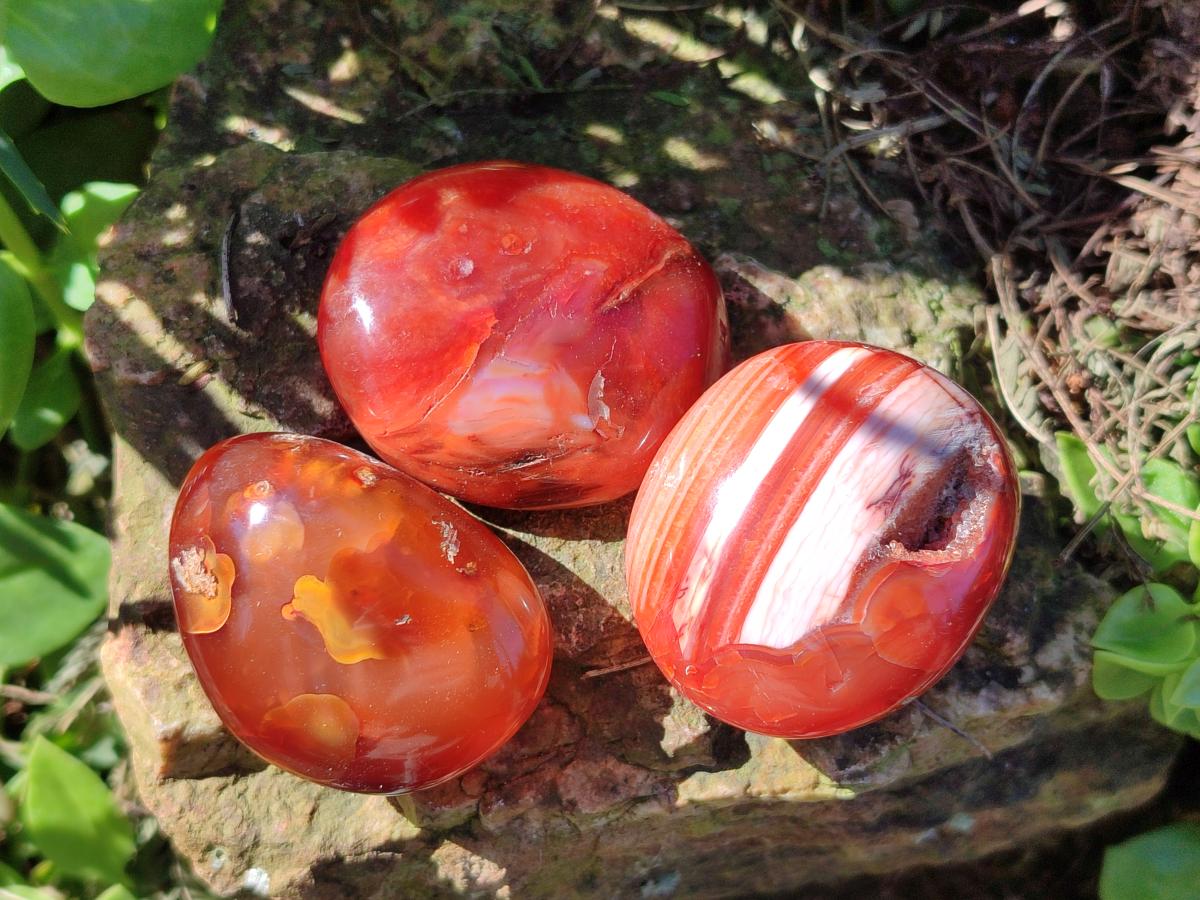Polished Carnelian Agate Gemstone Galets x 35 From Madagascar - Toprock Gemstones and Minerals 