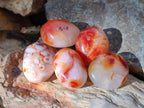 Polished Carnelian Agate Gemstone Galets x 35 From Madagascar - Toprock Gemstones and Minerals 