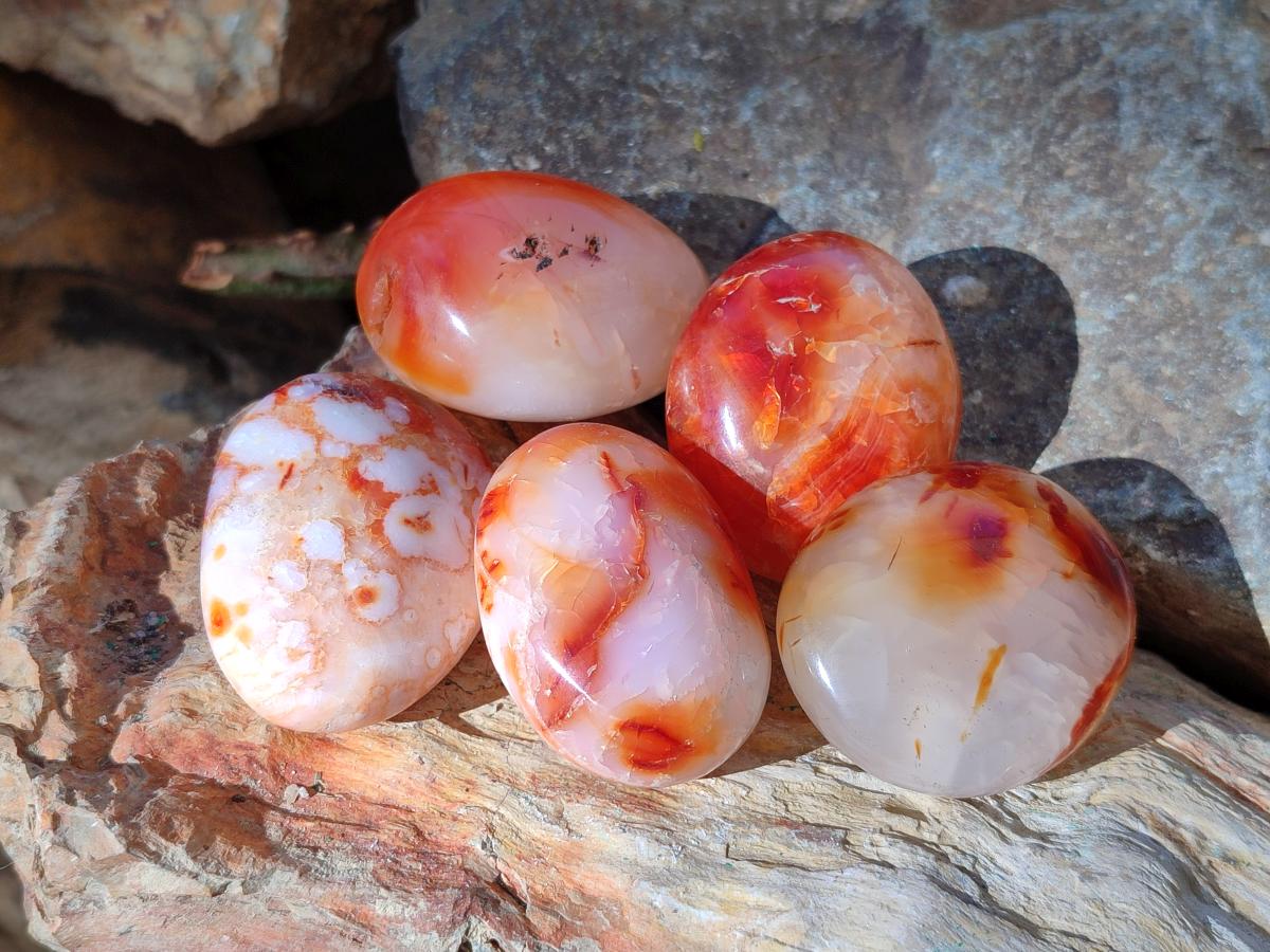 Polished Carnelian Agate Gemstone Galets x 35 From Madagascar - Toprock Gemstones and Minerals 