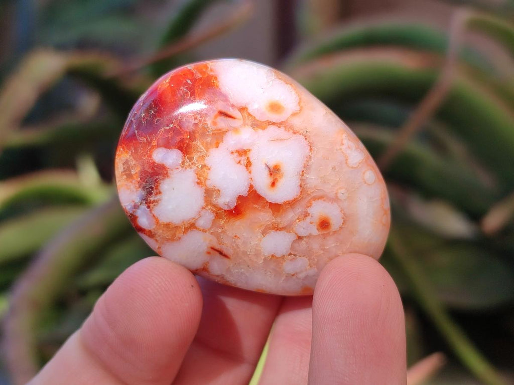 Polished Carnelian Agate Gemstone Galets x 35 From Madagascar - Toprock Gemstones and Minerals 