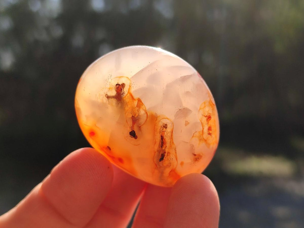 Polished Carnelian Agate Gemstone Galets x 35 From Madagascar - Toprock Gemstones and Minerals 