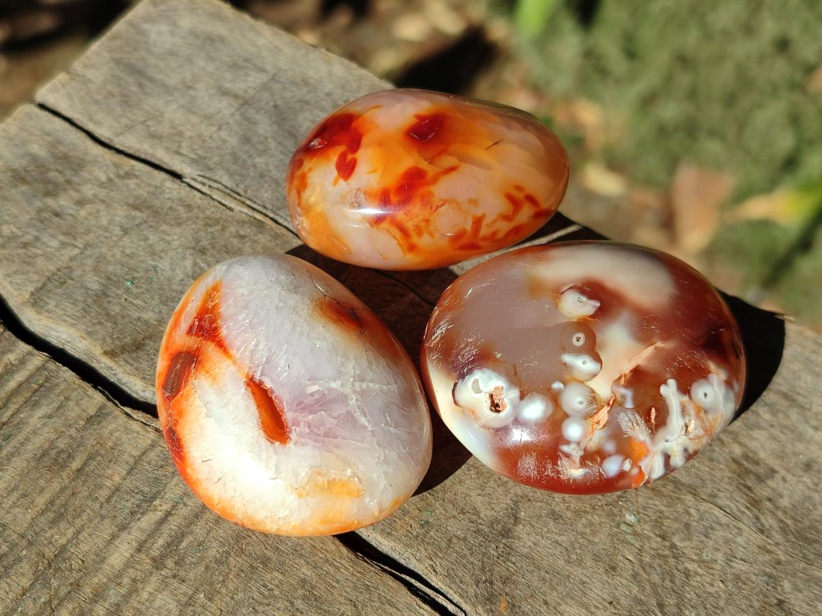 Polished Carnelian Agate Gemstone Galets x 35 From Madagascar - Toprock Gemstones and Minerals 