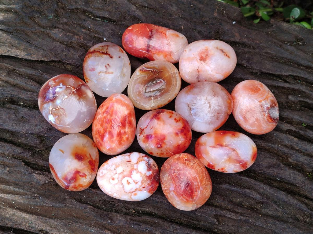 Polished Carnelian Agate Gemstone Galets x 35 From Madagascar - Toprock Gemstones and Minerals 