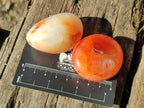 Polished Carnelian Agate Gemstone Galets x 35 From Madagascar - Toprock Gemstones and Minerals 