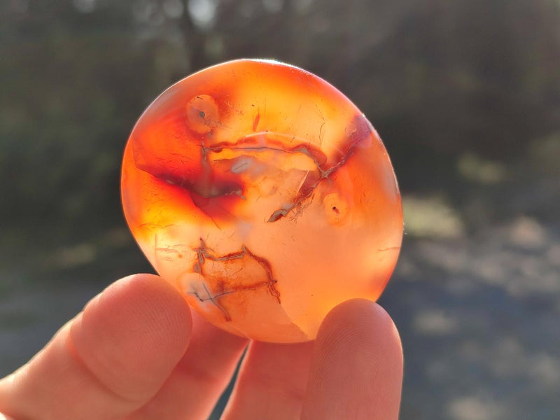 Polished Carnelian Agate Gemstone Galets x 35 From Madagascar - Toprock Gemstones and Minerals 
