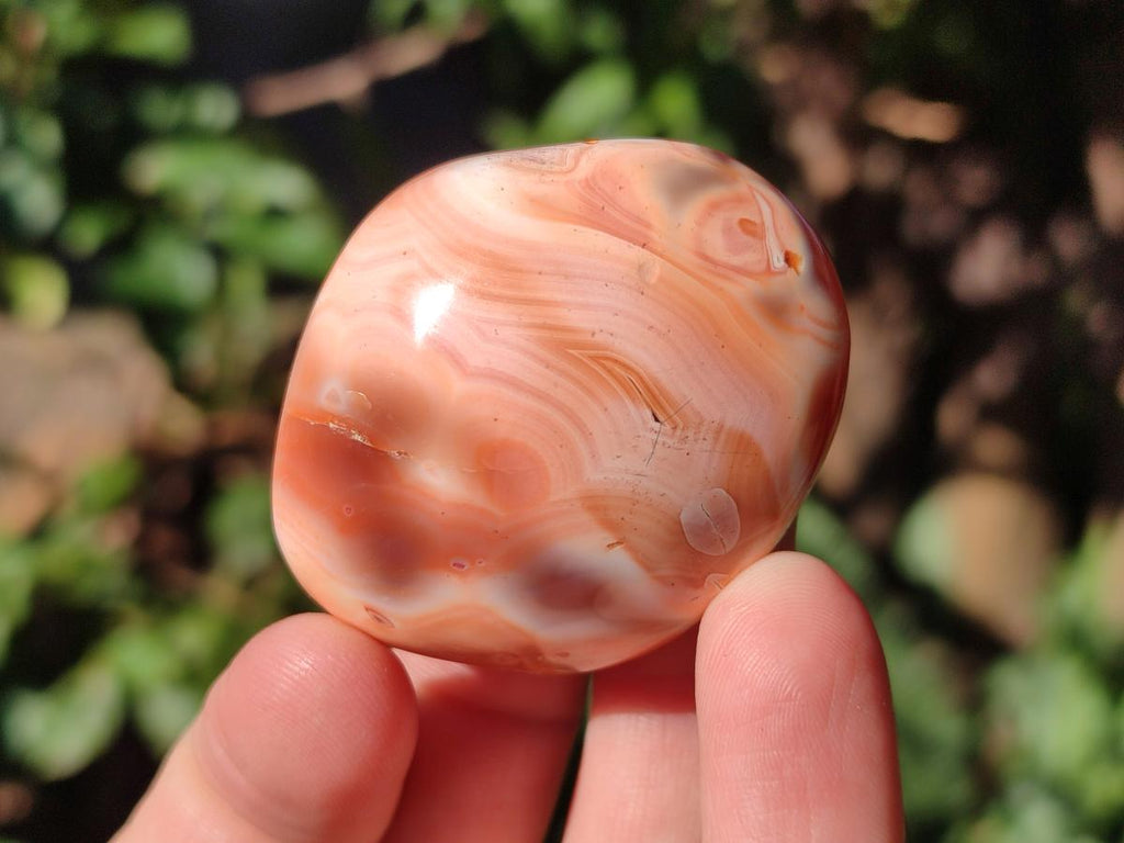 Polished Carnelian Agate Gemstone Galets x 35 From Madagascar - Toprock Gemstones and Minerals 