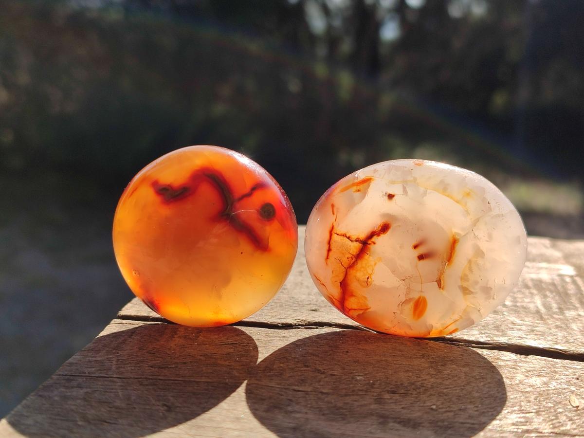 Polished Carnelian Agate Gemstone Galets x 35 From Madagascar - Toprock Gemstones and Minerals 