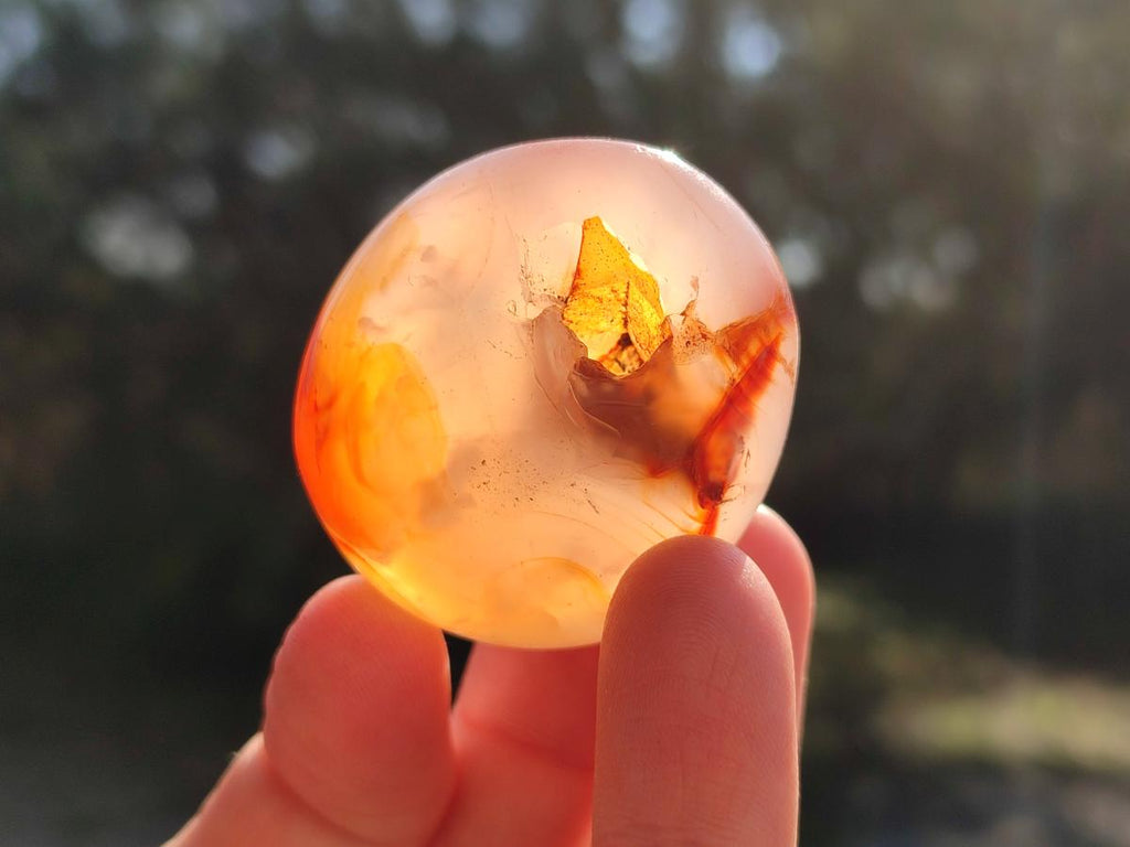 Polished Carnelian Agate Gemstone Galets x 35 From Madagascar - Toprock Gemstones and Minerals 