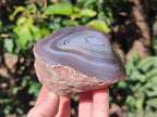 Polished One Side Red Shashe River Agate Nodules x 4 From Shashe River, Zimbabwe - Toprock Gemstones and Minerals 