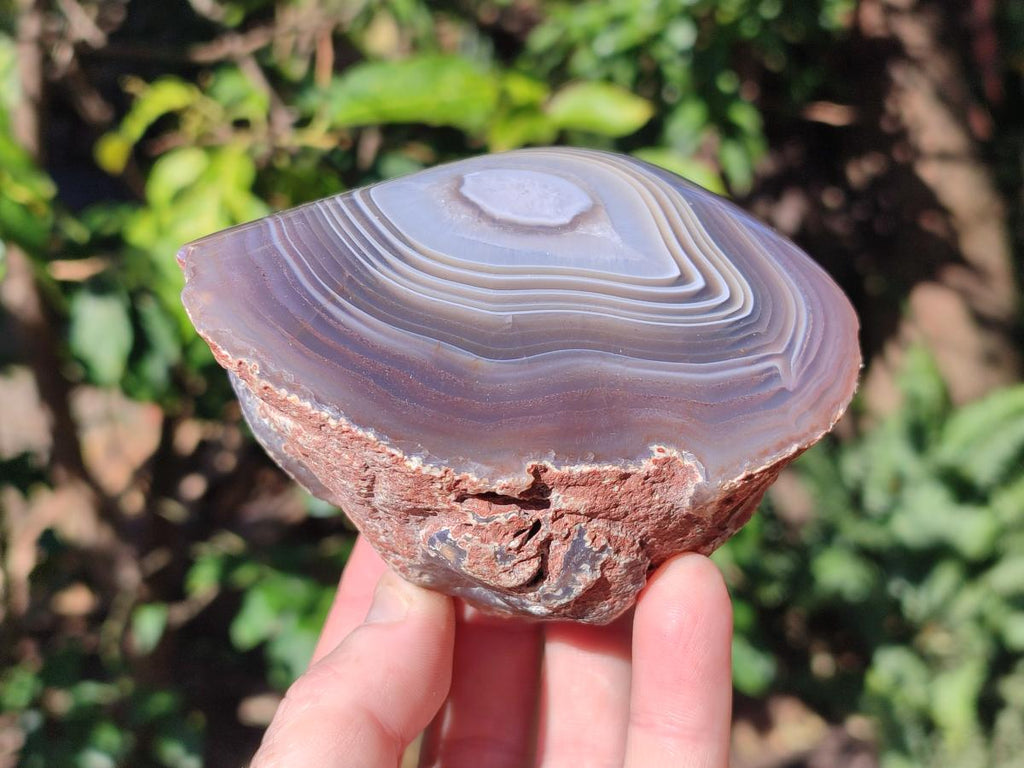 Polished One Side Red Shashe River Agate Nodules x 4 From Shashe River, Zimbabwe - Toprock Gemstones and Minerals 