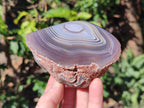 Polished One Side Red Shashe River Agate Nodules x 4 From Shashe River, Zimbabwe - Toprock Gemstones and Minerals 