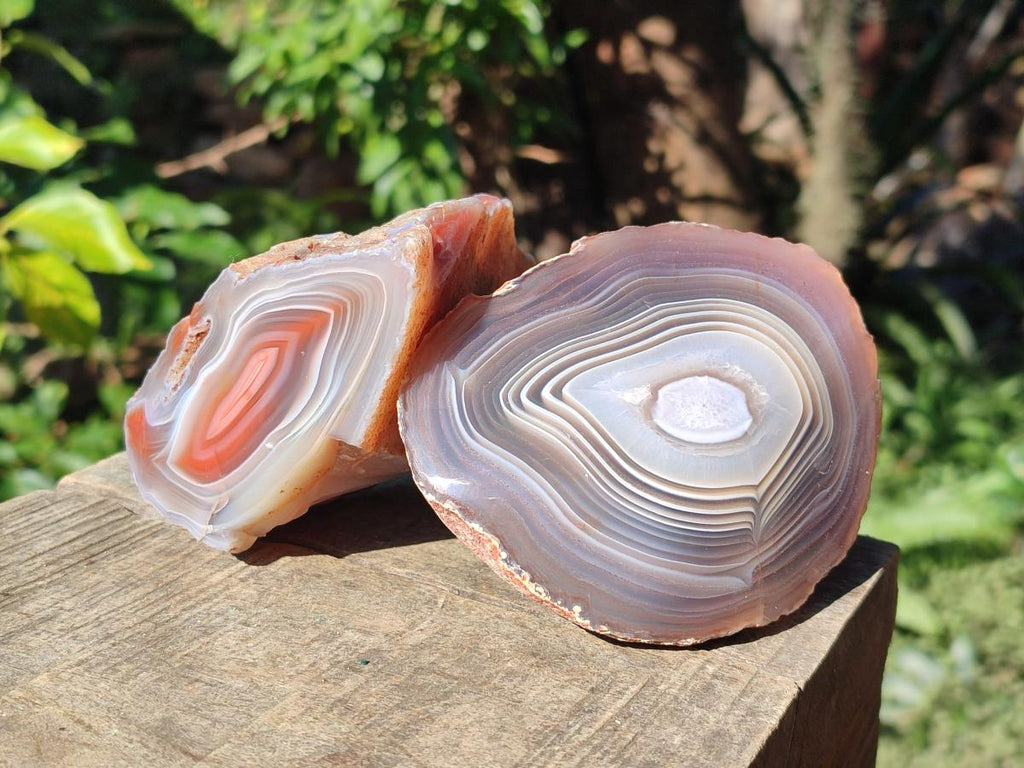 Polished One Side Red Shashe River Agate Nodules x 4 From Shashe River, Zimbabwe - Toprock Gemstones and Minerals 
