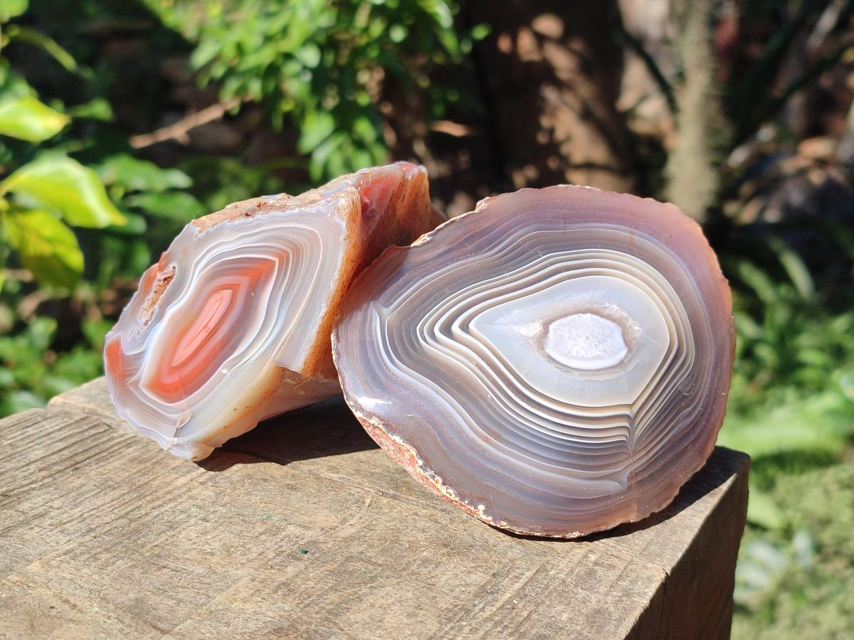 Polished One Side Red Shashe River Agate Nodules x 4 From Shashe River, Zimbabwe - Toprock Gemstones and Minerals 