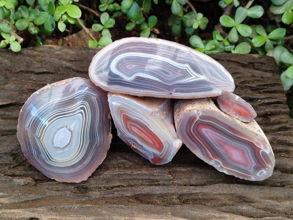 Polished One Side Red Shashe River Agate Nodules x 4 From Shashe River, Zimbabwe - Toprock Gemstones and Minerals 