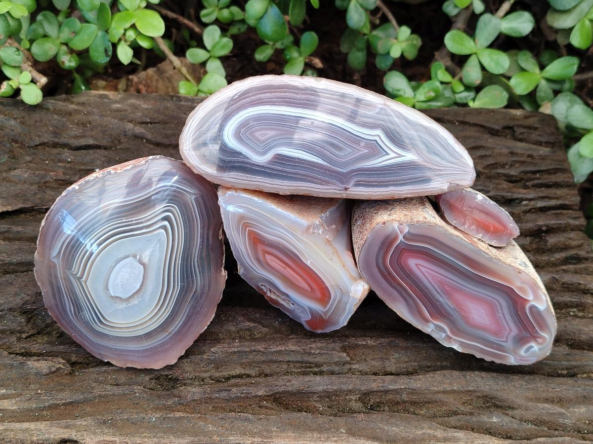 Polished One Side Red Shashe River Agate Nodules x 4 From Shashe River, Zimbabwe - Toprock Gemstones and Minerals 