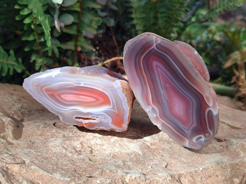 Polished One Side Red Shashe River Agate Nodules x 4 From Shashe River, Zimbabwe - Toprock Gemstones and Minerals 