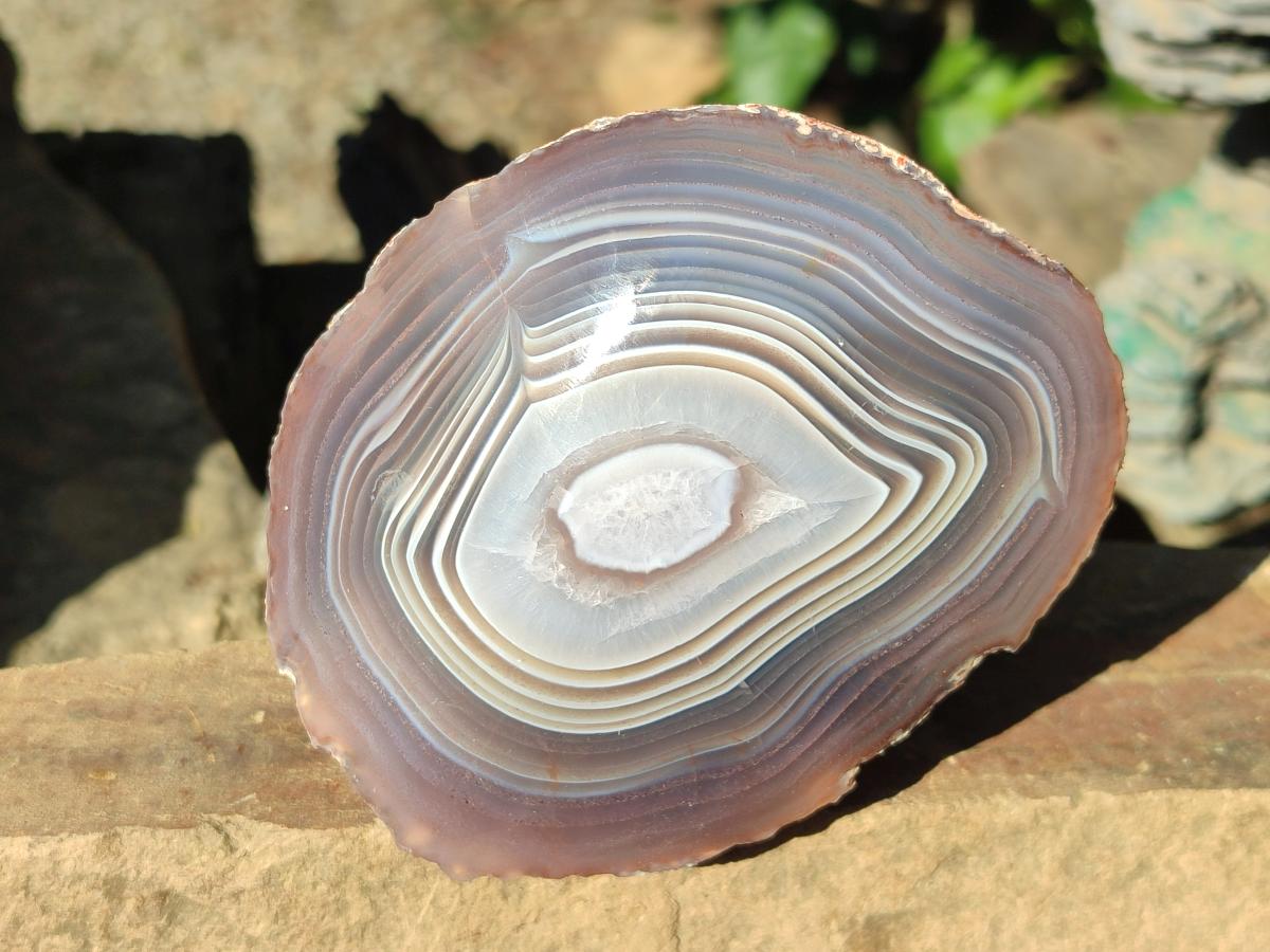 Polished One Side Red Shashe River Agate Nodules x 4 From Shashe River, Zimbabwe - Toprock Gemstones and Minerals 