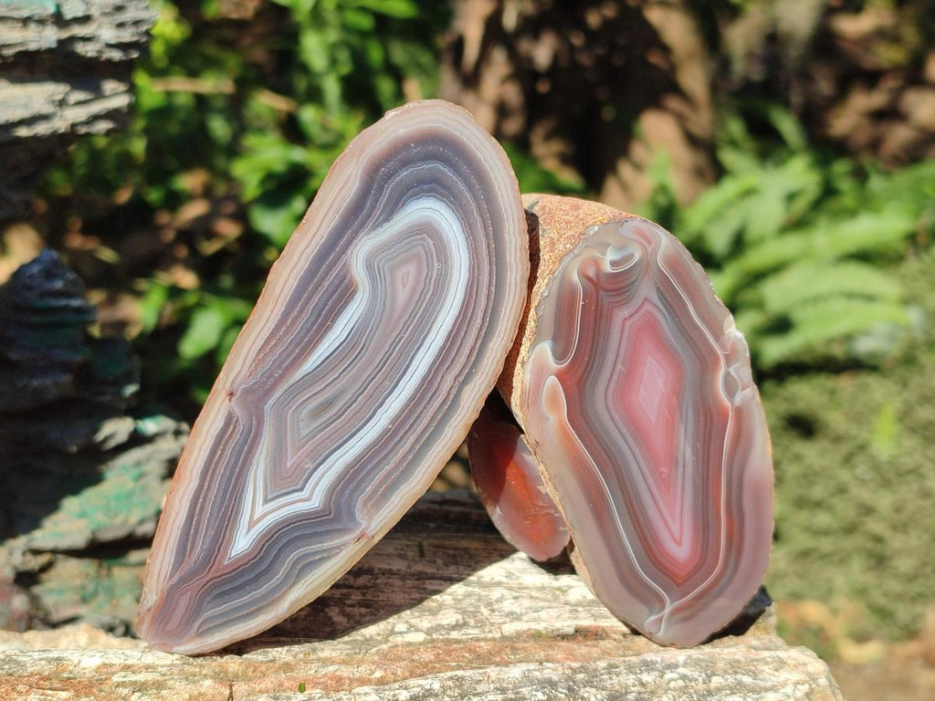 Polished One Side Red Shashe River Agate Nodules x 4 From Shashe River, Zimbabwe - Toprock Gemstones and Minerals 
