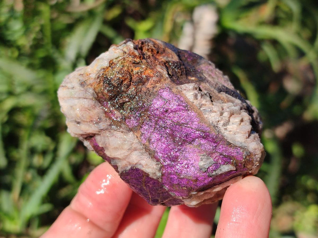 Natural Metallic Cobbed Purpurite Specimens x 12 From Erongo, Namibia - Toprock Gemstones and Minerals 